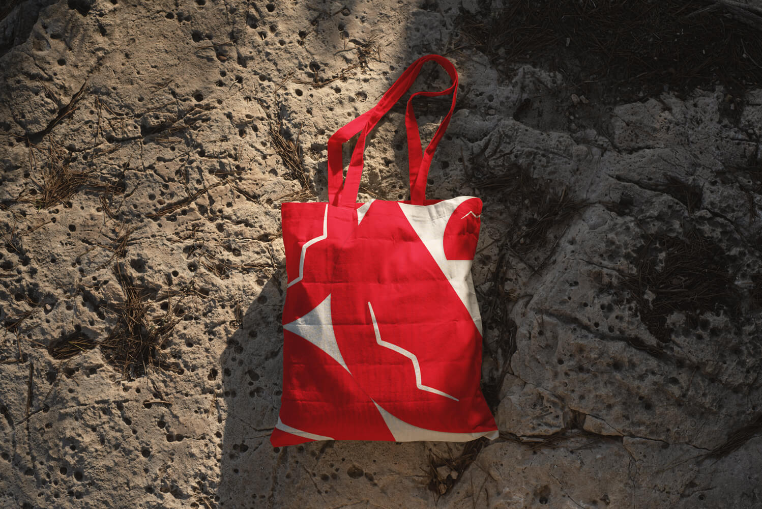 AC - Mockup Bag