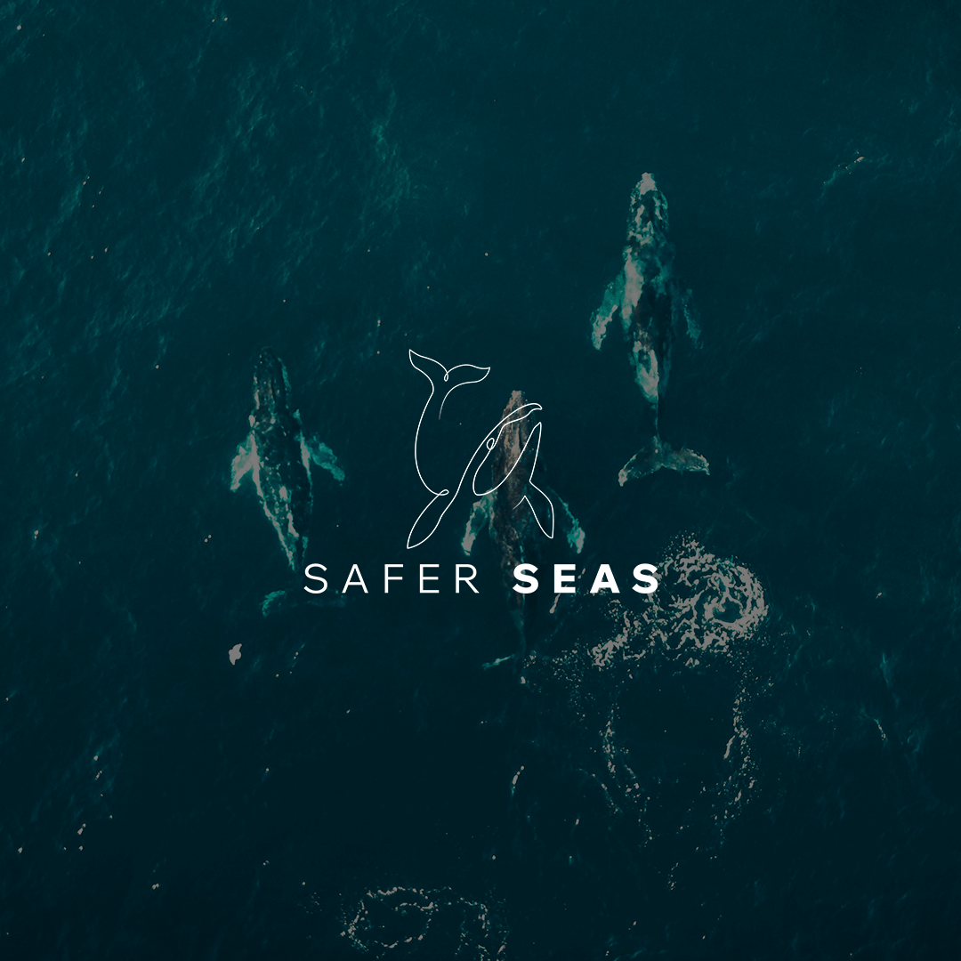 Safer Seas - Logo Fictif