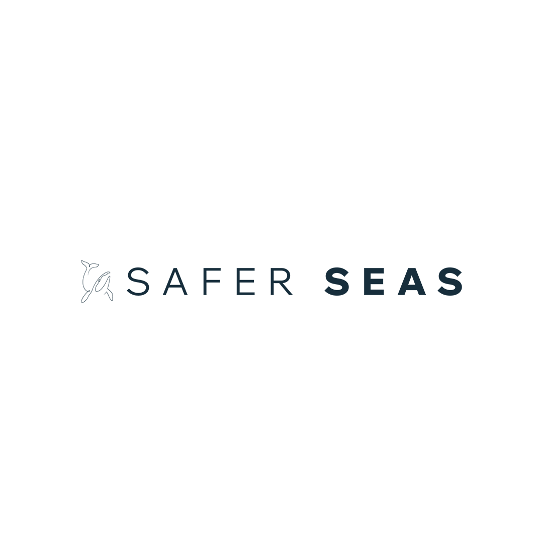 Safer Seas - Logo Fictif